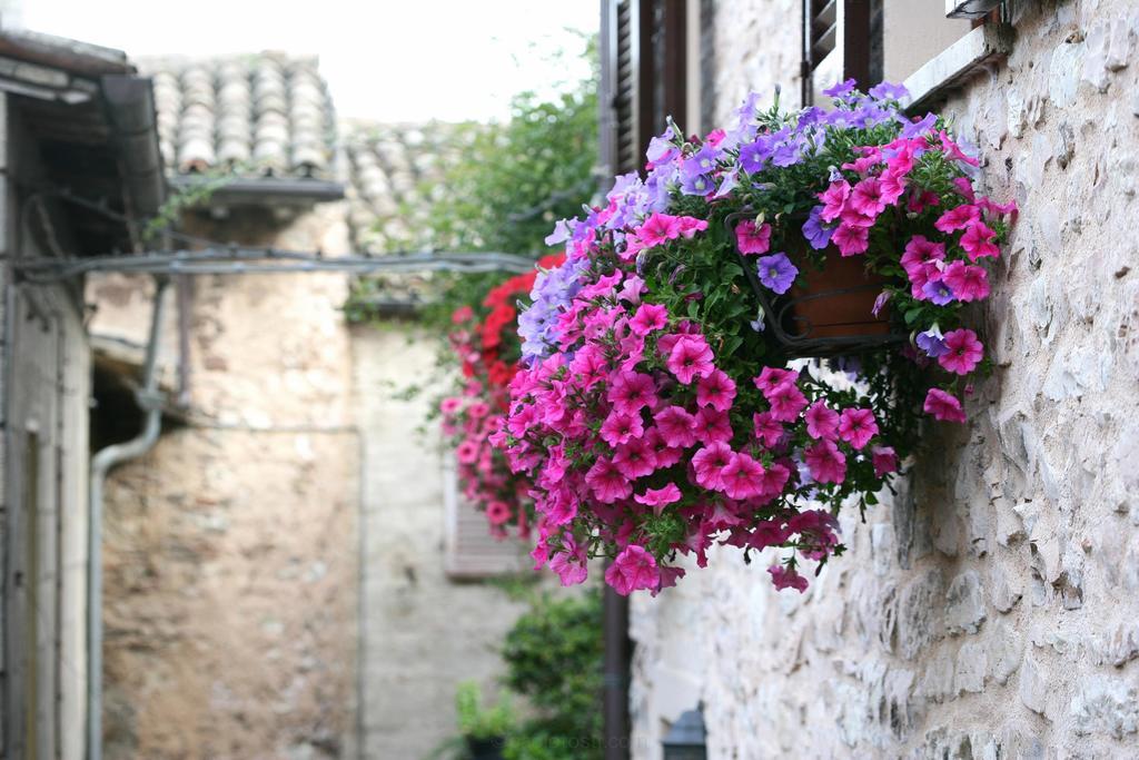 Hotel Palazzo Brunamonti Bevagna Εξωτερικό φωτογραφία